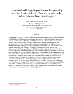 Impacts of redd superimposition on the spawning success of listed tule fall Chinook salmon in the White Salmon River, Washington