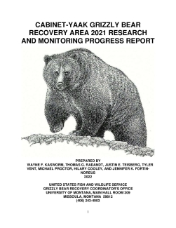 Cabinet-Yaak Grizzly Bear Recovery Area 2021 Research and Monitoring Progress Report