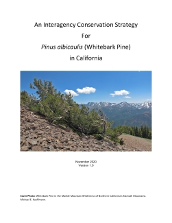 Whitebark Pine Conservation Strategy in California