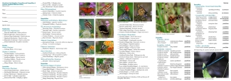 Carolina Sandhills Butterfly and Dragonfly Brochure
