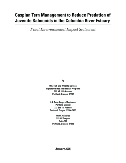 Caspian Tern Management to Reduce Predation of Juvenile Salmonids in the Columbia River Estuary