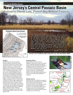 New Jersey’s Central Passaic Basin: Prehistoric Glacial Lake, Present-Day Wetland Treasure