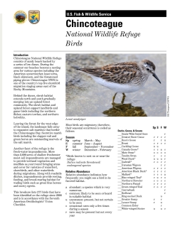 Chincoteague birds 2015 - PRINTABLE.pdf
