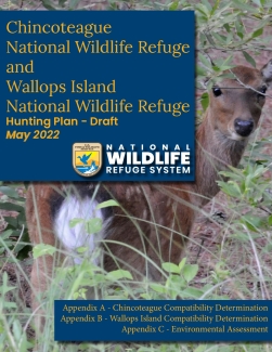 Chincoteague and Wallops Island National Wildlife Refuges 2022-2023 Draft Hunt Plan