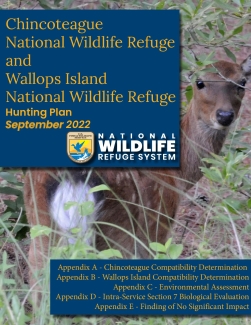 Hunt Plan for Chincoteague and Wallops Island NWRs