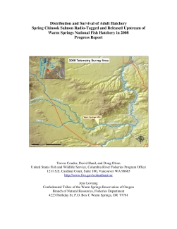 Distribution and Survival of Adult Hatchery Spring Chinook Salmon Radio-Tagged and Released Upstream of Warm Springs National Fish Hatchery in 2008 Progress Report