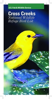 An image of the cover for the bird brochure.