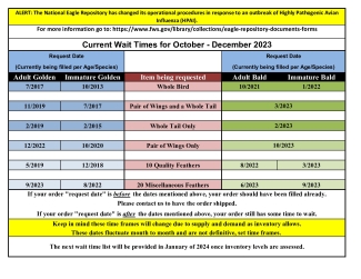 Current Wait Times_October - December 2023.pdf