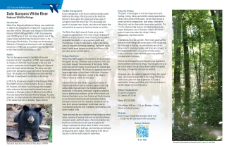 Dale Bumpers White River NWR - General Brochure