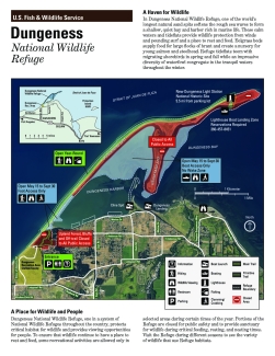 Dungeness NWR Trail Map