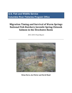 Migration Timing and Survival of Warm Springs National Fish Hatchery Juvenile Spring Chinook Salmon in the Deschutes Basin 2012-2014 Final Report