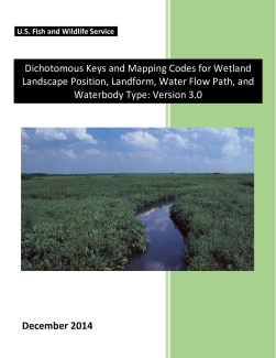 Dichotomous Keys and Mapping Codes for Wetland Landscape Position, Landform, Water Flow Path, and Waterbody Type: Version 3.0