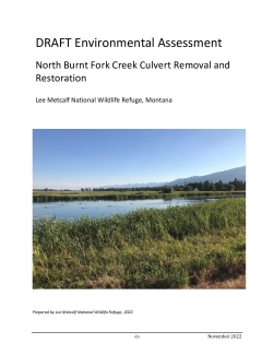 Draft Environmental Assessment - North Burnt Fork Creek Restoration - Lee Meetcalf NWR