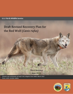 Draft_Revised_Recovery_Plan_Red_Wolf_2022.pdf