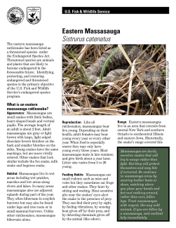 Eastern Massasauga Rattlesnake Fact Sheet