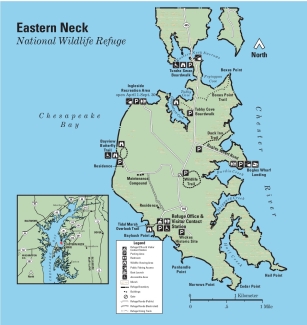 Eastern Neck NWR Refuge Map