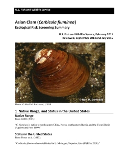 Ecological Risk Screening Summary - Asian Clam (Corbicula fluminea) - High Risk