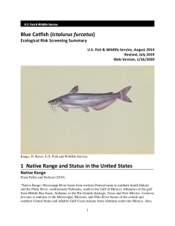 Ecological-Risk-Screening-Summary-Blue-Catfish