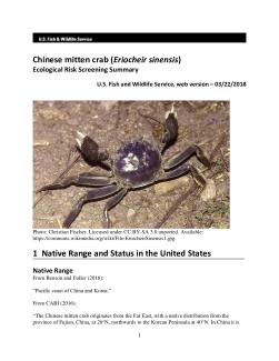 Ecological Risk Screening Summary - Chinese mitten crab (Eriocheir sinensis) - High Risk