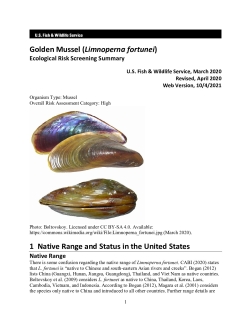 Ecological Risk Screening Summary - Golden Mussel (Limnoperna fortunei) - High Risk
