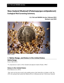 Ecological-Risk-Screening-Summary-New-Zealand-Mudsnail