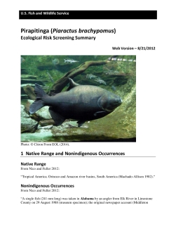 Ecological-Risk-Screening-Summary-Pirapitinga