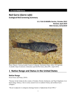 web Fiasko Bemyndige Ecological Risk Screening Summary - Red Garra (Garra rufa) - Uncertain Risk  | FWS.gov