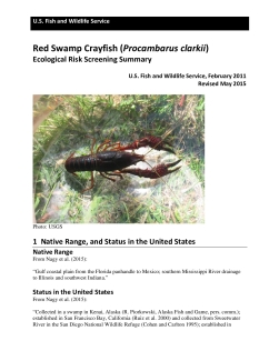 Ecological-Risk-Screening-Summary-Red-Swamp-Crayfish