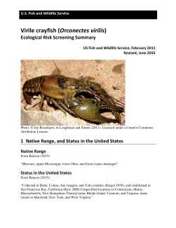 Ecological-Risk-Screening-Summary-Virile-crayfish