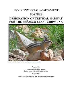 Draft Environmental Assessment for Designation of Critical Habitat for the Penasco Least Chipmunk