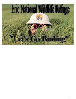 Let's Go Birding 2016