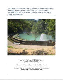 Evaluation of a Resistance Board Weir in the White Salmon RiFor Capture of Lower Columbia River Fall Chinook Salmon (Oncorhynchus tshawytscha) for Transport during the Year of Condit Dam Removal