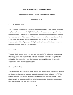Example 5 CSBC CCA 2003.pdf