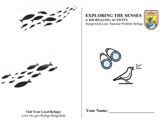 Exploring the Senses - SLNWR.pdf