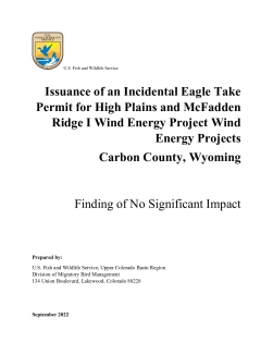 High Plains and McFadden Ridge: Wind Energy Project