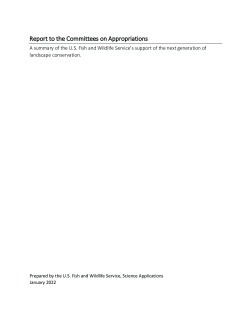 White cover page of LCC report, black text on the top and bottom of page