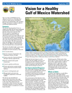 Vision for a Healthy Gulf of Mexico Watershed