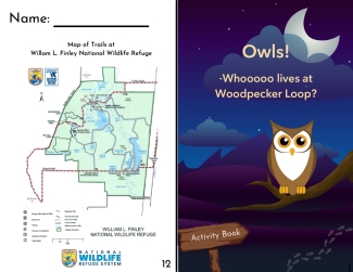 Owl Activity Booklet WWFD 2022 English