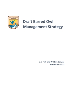 Draft Barred Owl Management Strategy