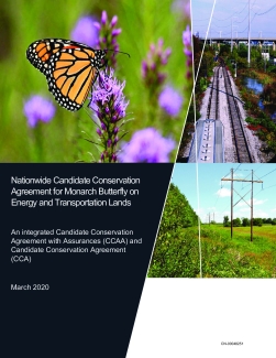 Nationwide Candidate Conservation Agreement for Monarch Butterfly