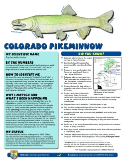 Fish Need to Move! Learning About Fish Migration - Colorado Pikeminnow