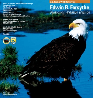 Edwin B. Forsythe Brochure