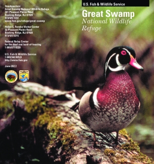 Great Swamp National Wildlife Refuge General Brochure