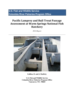 Pacific Lamprey and Bull Trout Passage Assessment at Warm Springs National Fish Hatchery