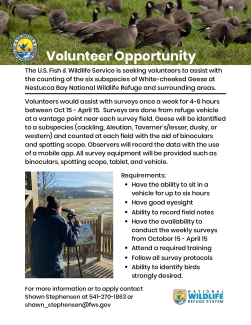 Goose Survey Volunteer Recruitment