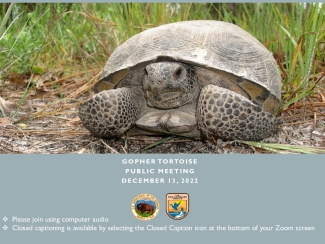 Gopher Tortoise Public Meeting December 13 2022_508 compliant.pdf