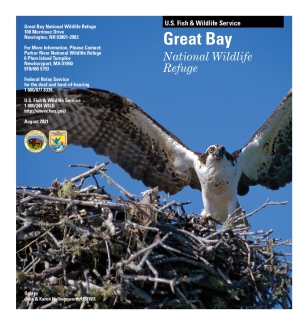Great Bay Brochure updated 2021.pdf