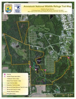 Greenlaw Brook Trail Map Aroostook.pdf