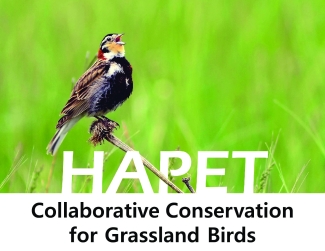 HAPET Grassland Birds_FINAL 091323.pdf