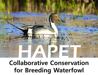 HAPET Waterfowl_FINAL 091323.pdf